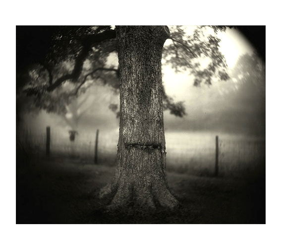 Sally Mann photograph