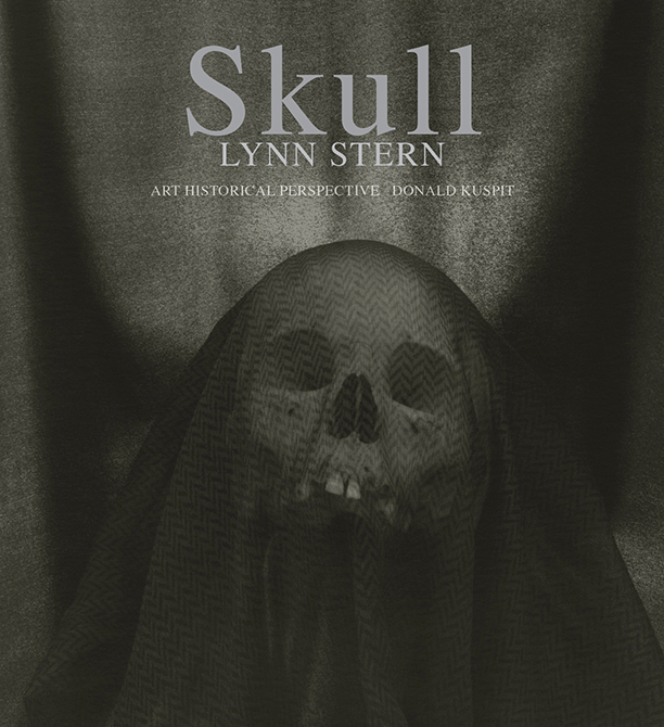 Skull book jacket