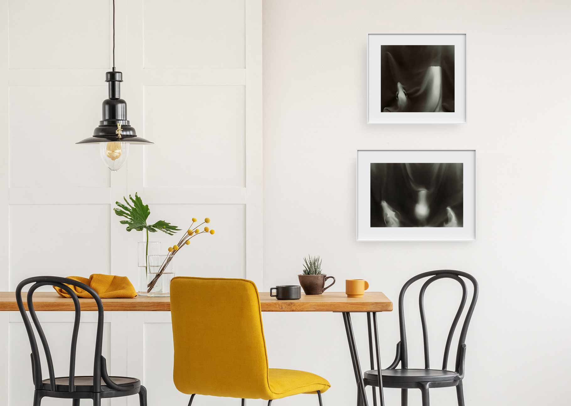 Animus Installations