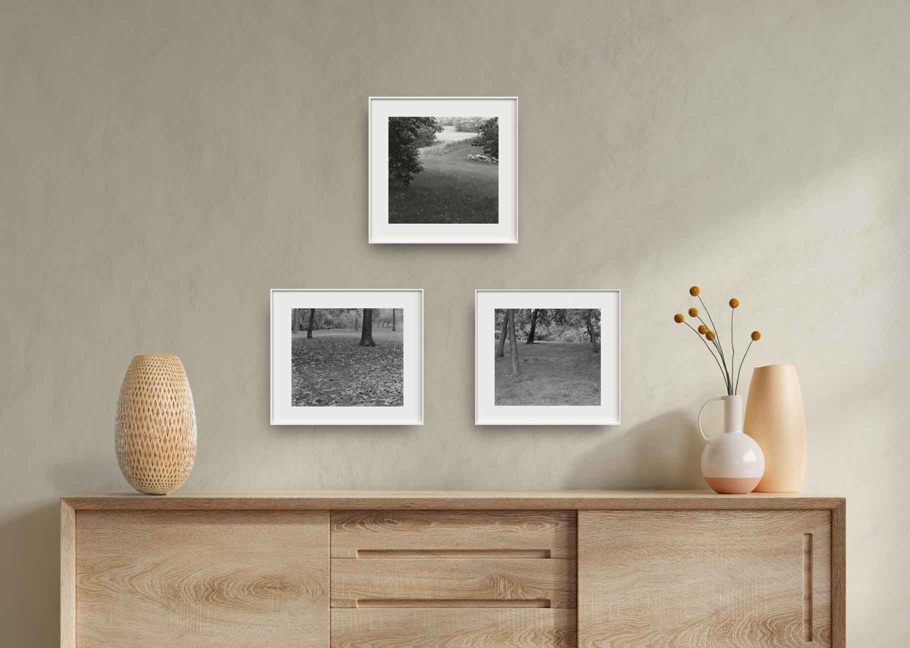 Compressed Landscapes image