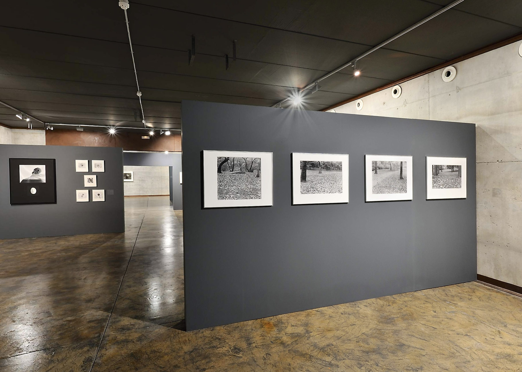 Forebodings gallery installation