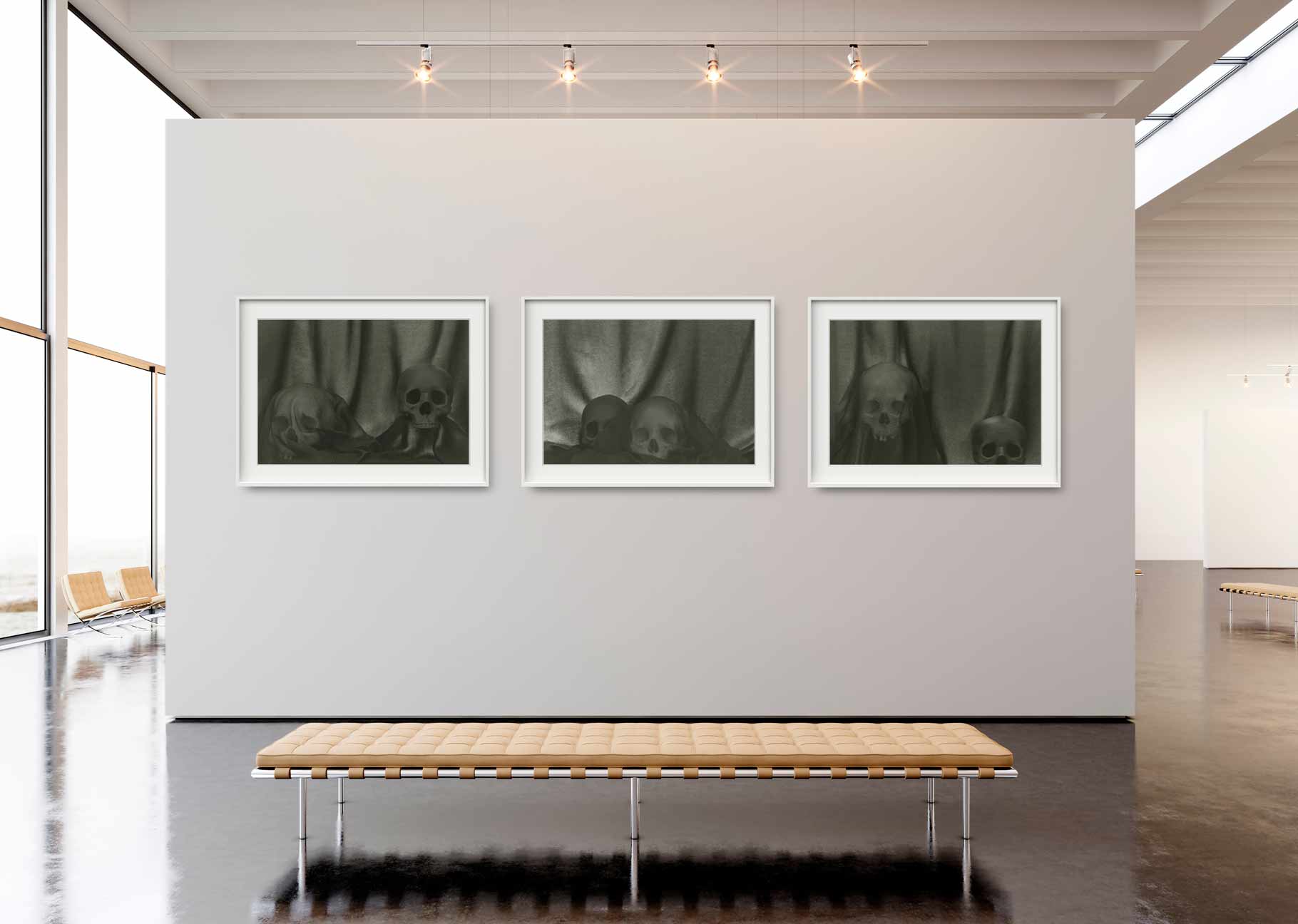 Doppelganger Installation