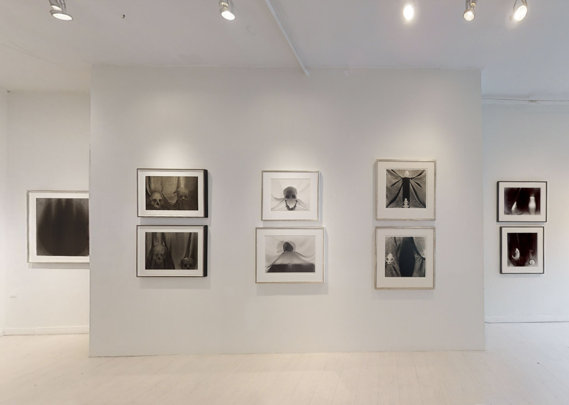 Jaeckel Gallery Installation