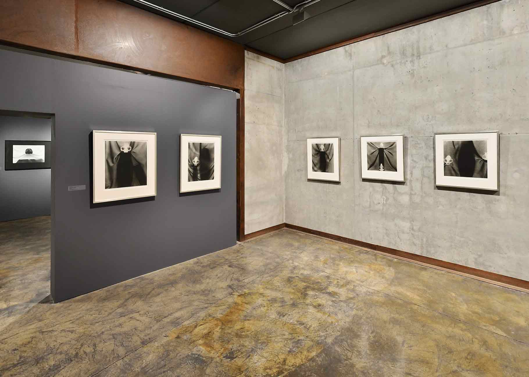 (W)holes Installation 