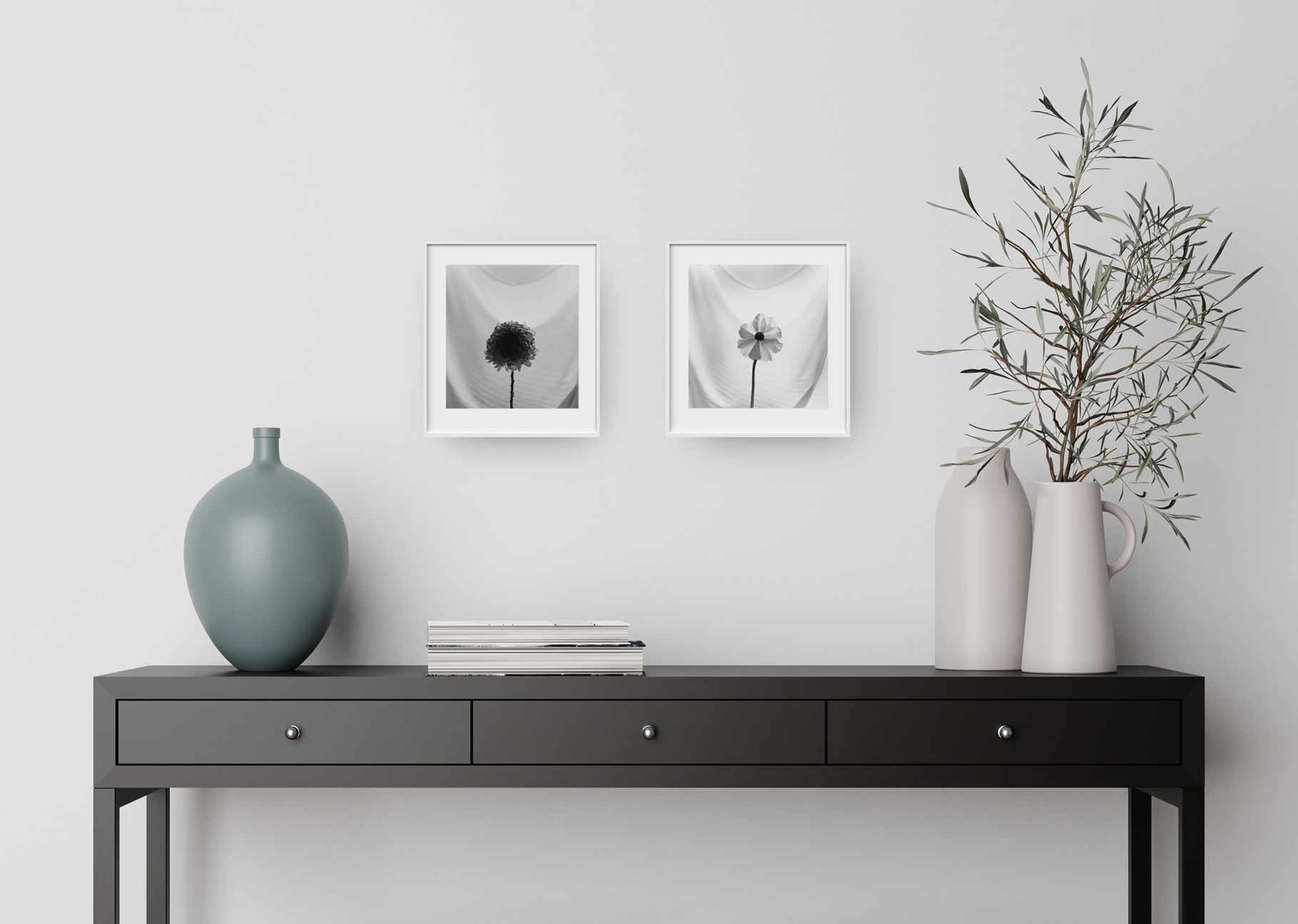 Dialogues in Light & Unveilings Installation