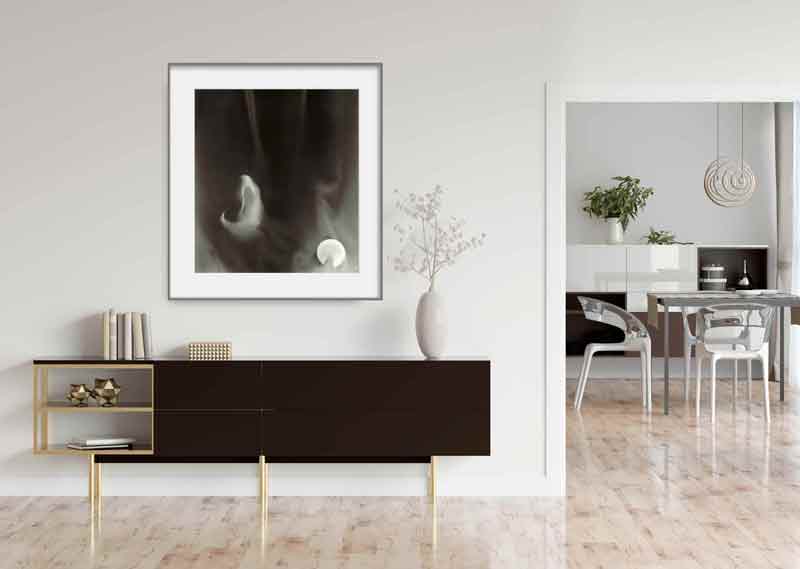 Animus installation link