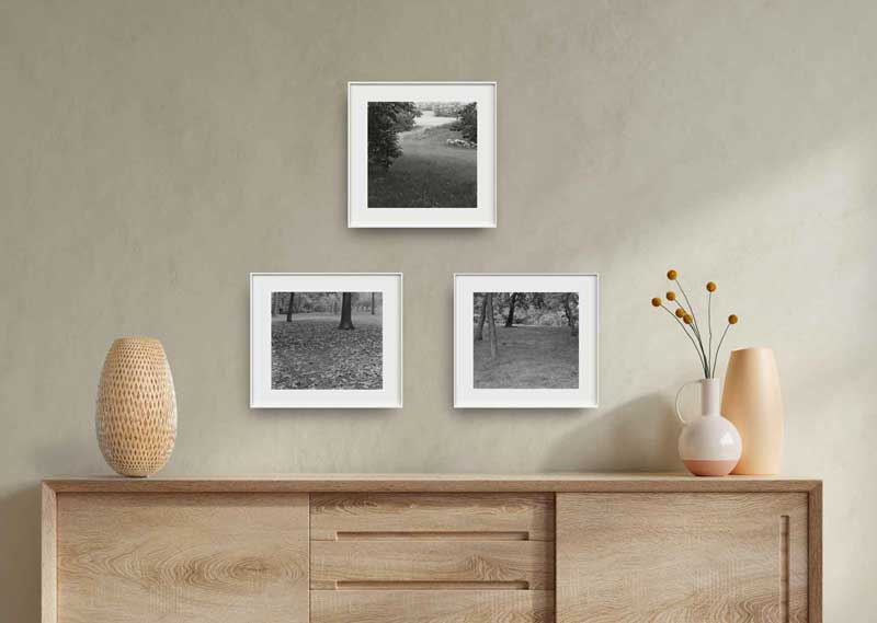 Compressed Landscapes installation link