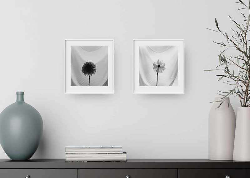 Dialogue in Light installation link