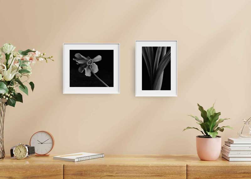 Gesture/Light installation link