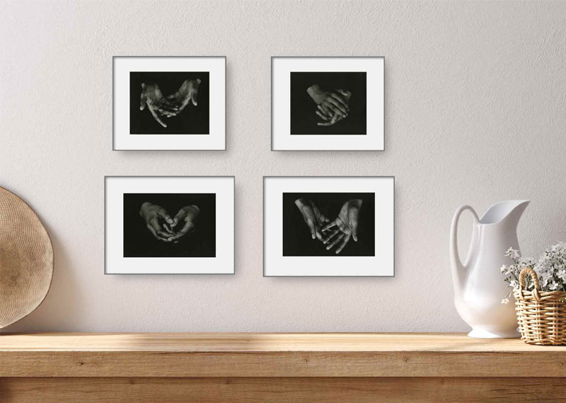 Animus installation link