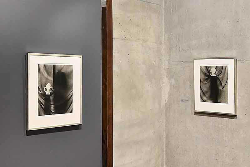 wholes installation link