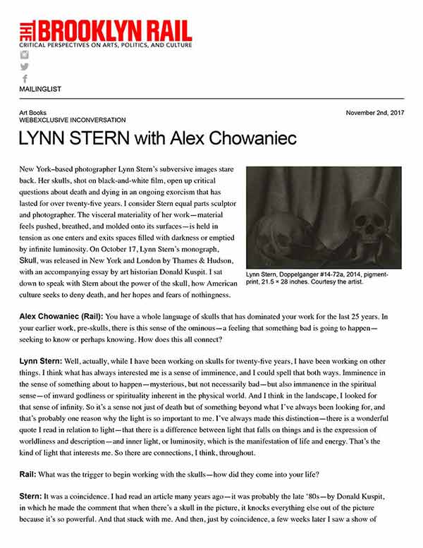 Brooklyn Rail PDF download